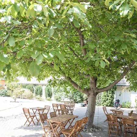 Boutique Ludo Apart-hotel